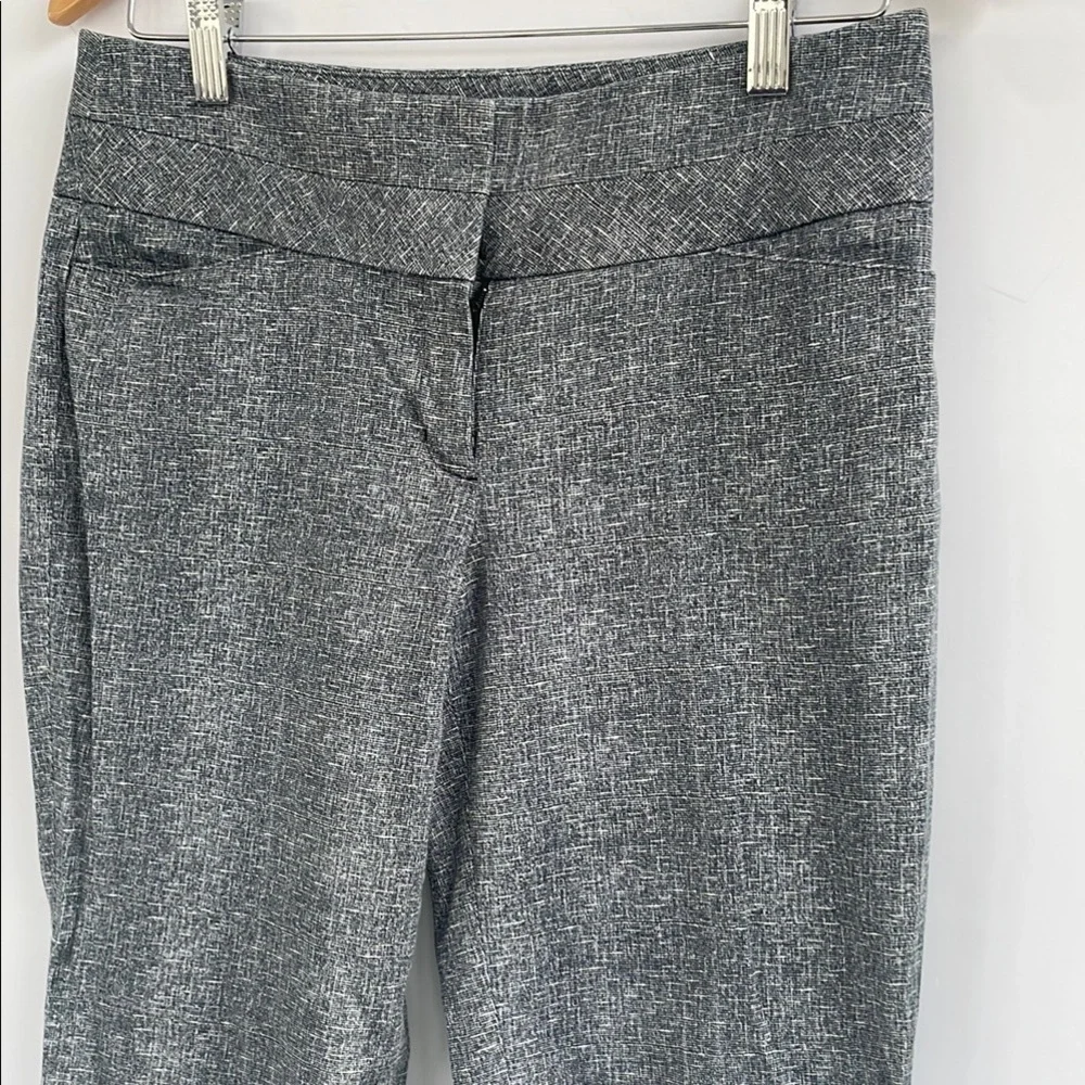 Express Wide Leg Pants Office Slacks Size 4
